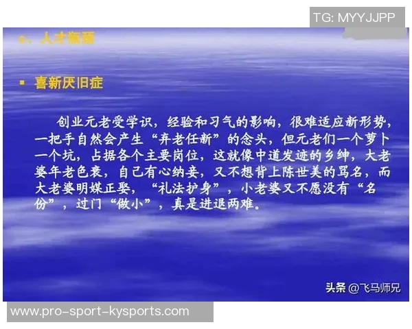 顾全大局，和谐共生：在复杂环境中实现个人与团队的双赢策略